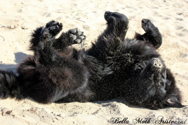 Фотография № 105590