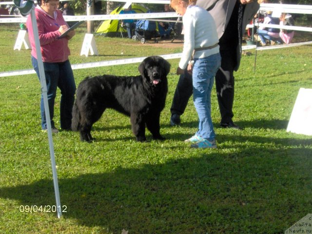 Фотография № 105609