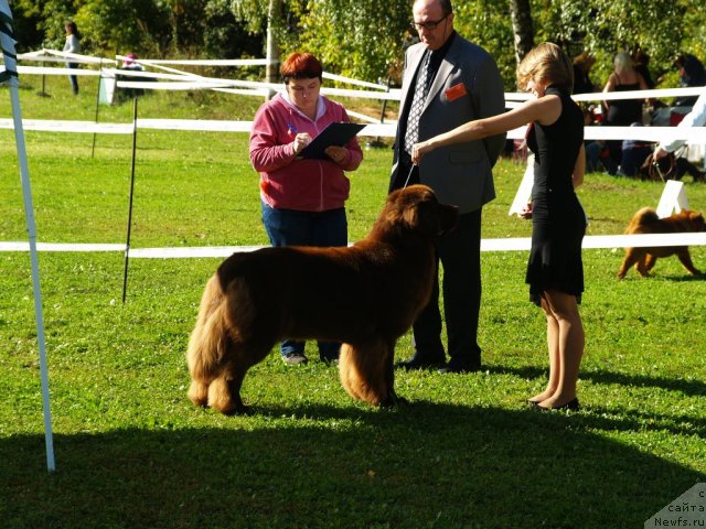 Фотография № 105645