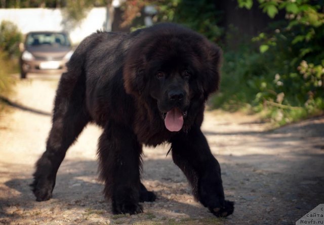 Фотография № 105648