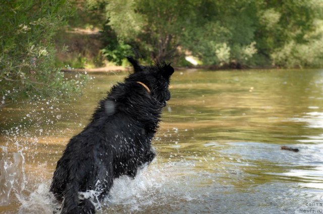 Фотография № 105651