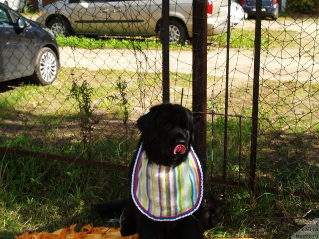 Фотография № 105656