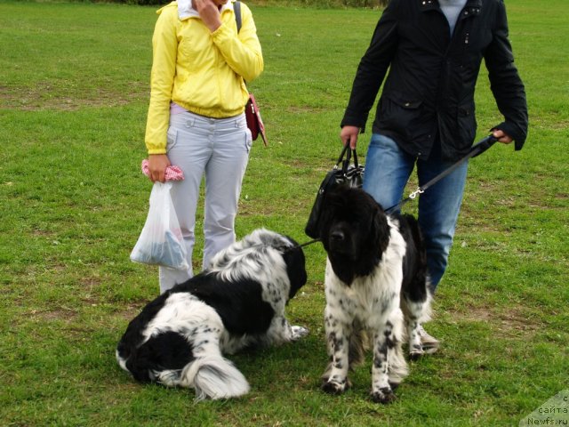 Фотография № 105657