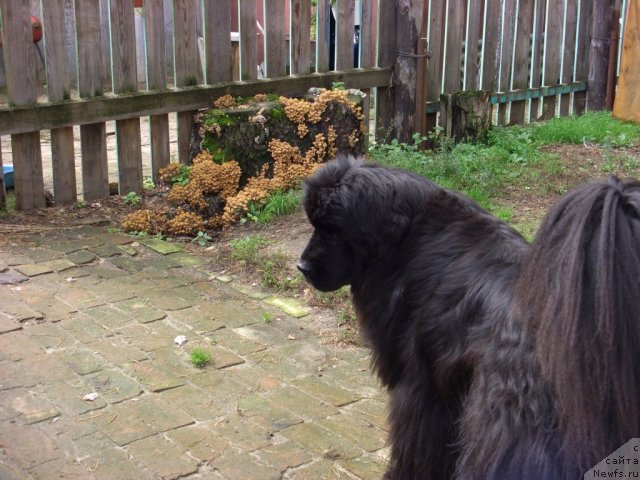 Фотография № 105666