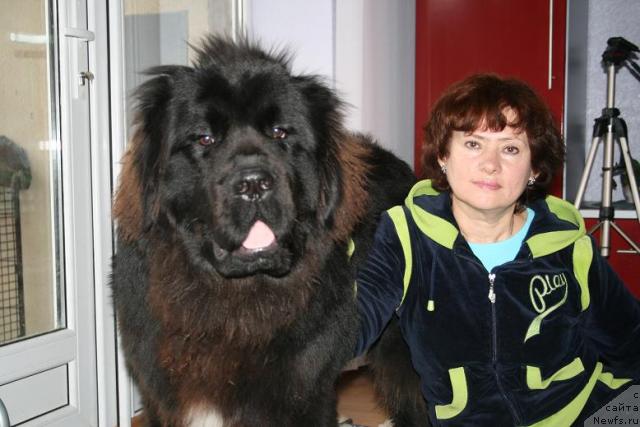 Фотография № 10568