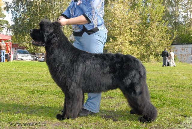 Фотография № 105692