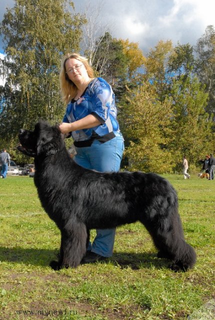 Фотография № 105693