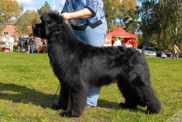 Фотография № 105695