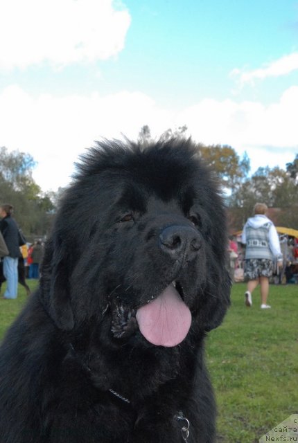 Фотография № 105698