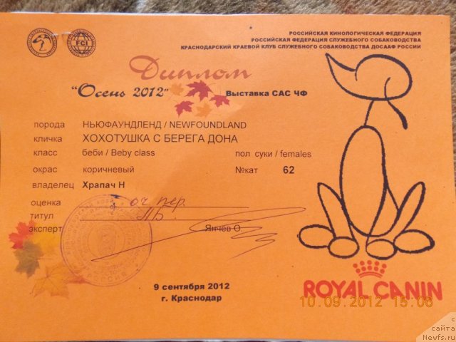 Фотография № 105742