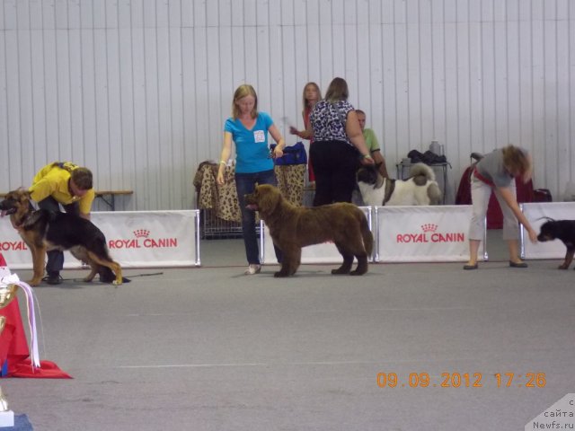 Фотография № 105743