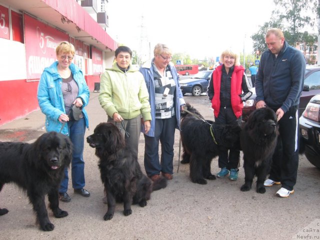 Фотография № 105744