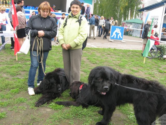 Фотография № 105746