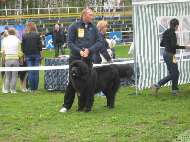 Фотография № 105754