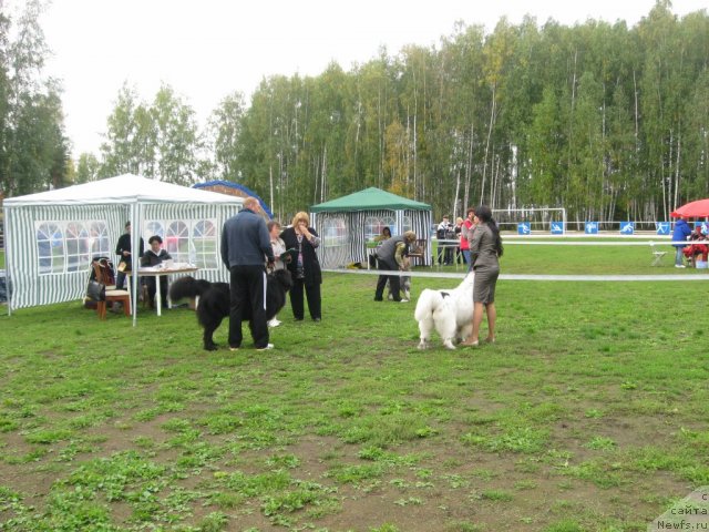 Фотография № 105758