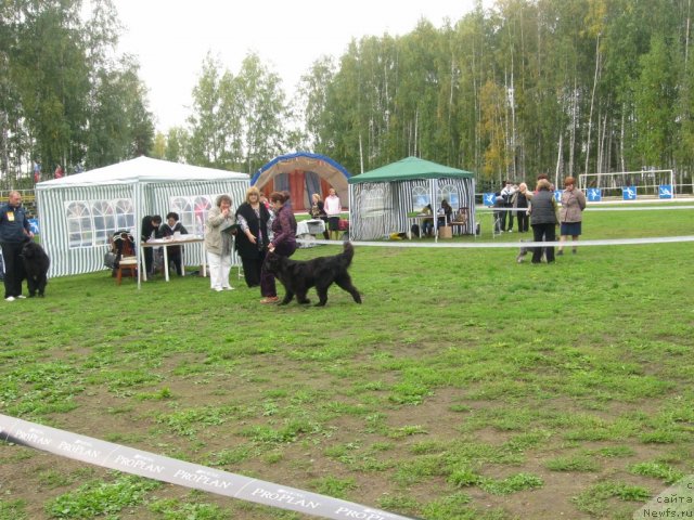 Фотография № 105760