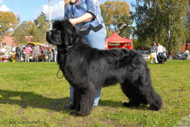 Фотография № 105761