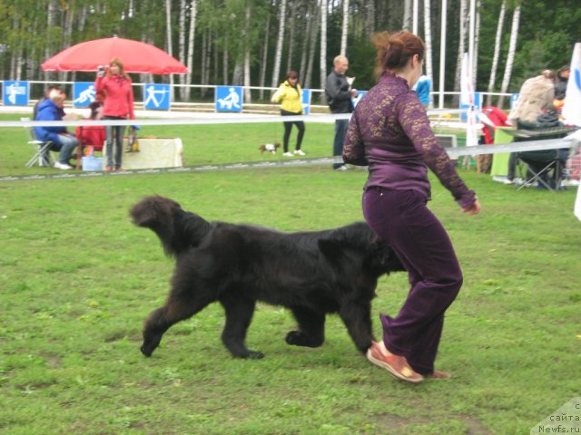 Фотография № 105762