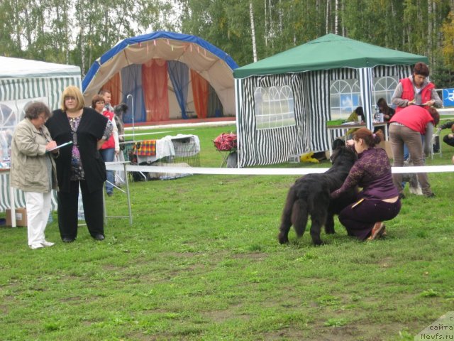 Фотография № 105763