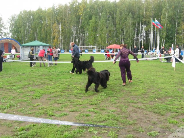 Фотография № 105764