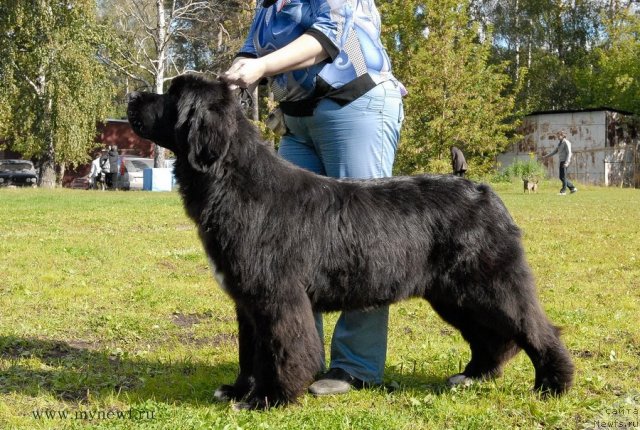 Фотография № 105765