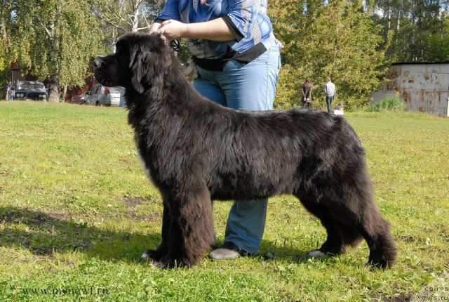 Фотография № 105766