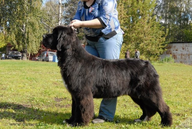 Фотография № 105767