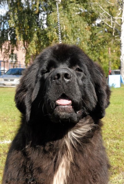 Фотография № 105770