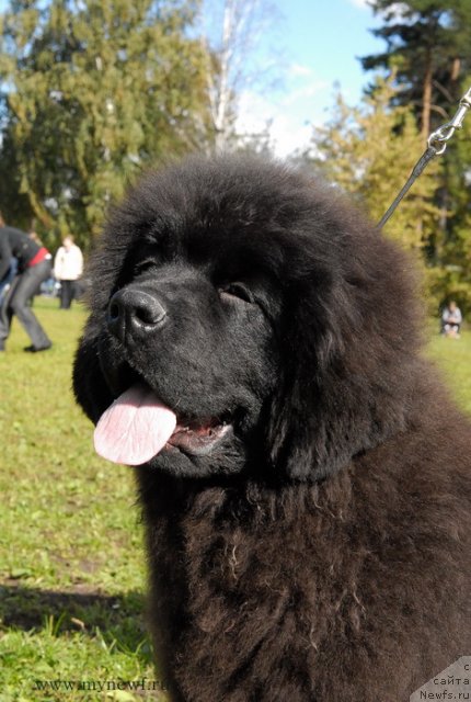 Фотография № 105778