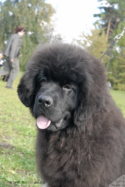 Фотография № 105780