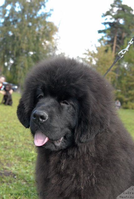 Фотография № 105782