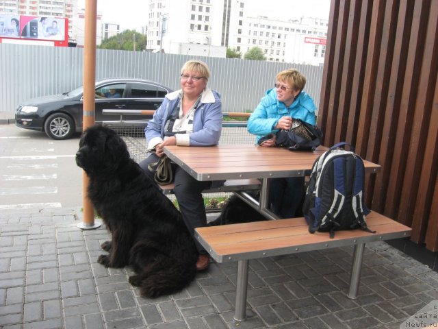 Фотография № 105783