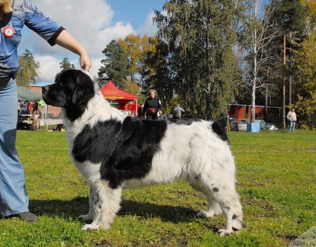 Фотография № 105786