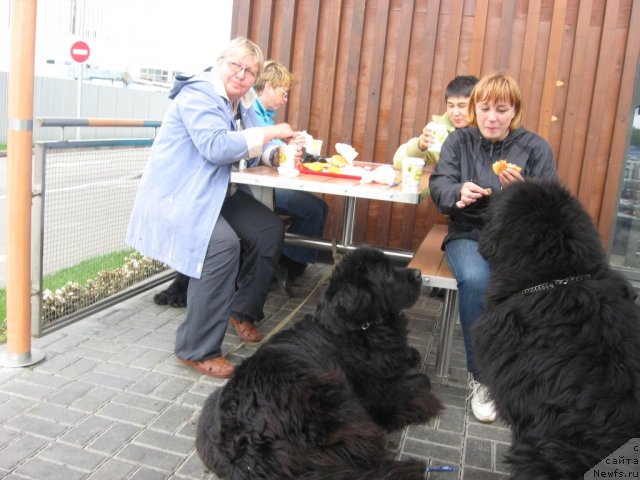 Фотография № 105789