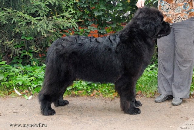 Фотография № 105808