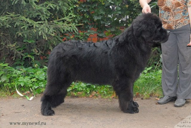 Фотография № 105809