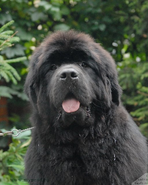 Фотография № 105810