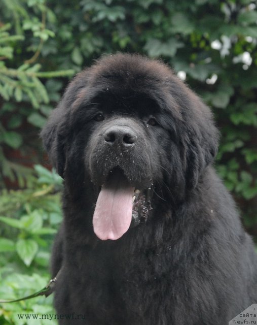 Фотография № 105811