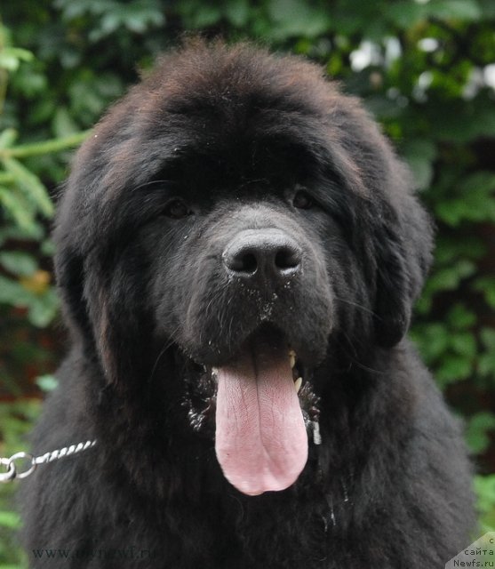 Фотография № 105813