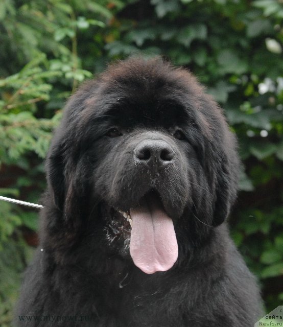 Фотография № 105814