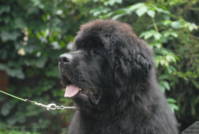 Фотография № 105816