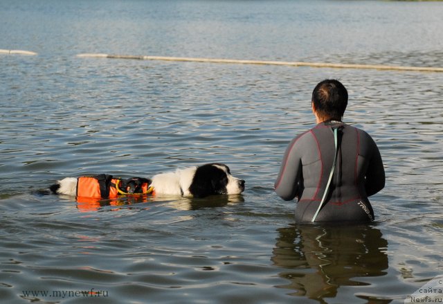 Фотография № 105817