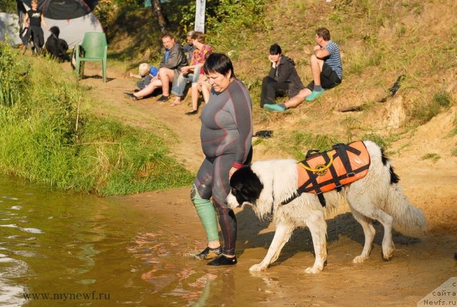 Фотография № 105818