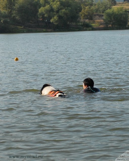 Фотография № 105821