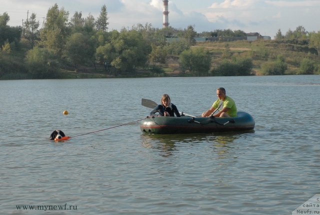 Фотография № 105824