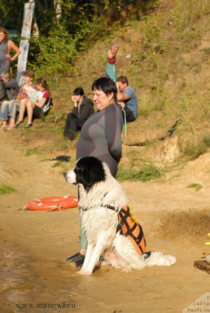 Фотография № 105826