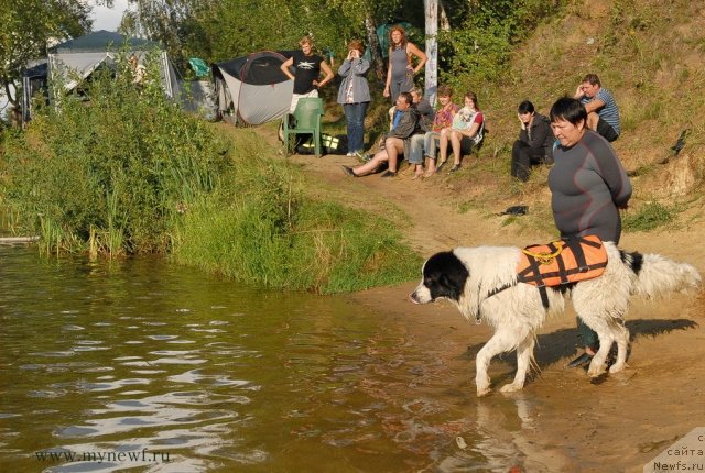 Фотография № 105827