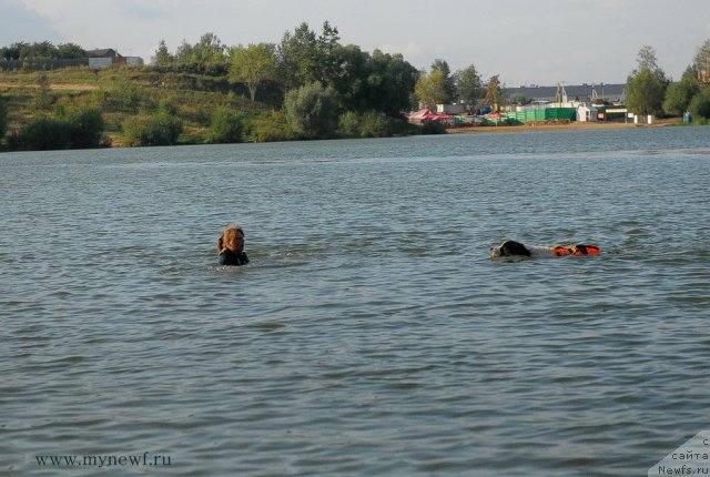 Фотография № 105832