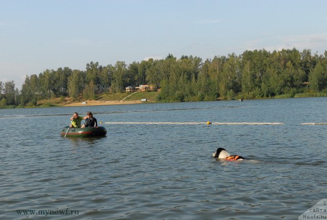 Фотография № 105833