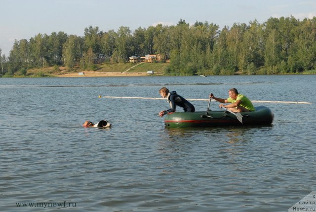 Фотография № 105836